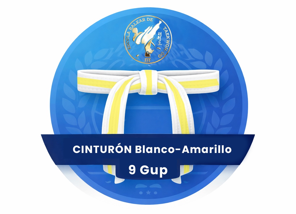 Teoría 9 Gup Escola Balear - Cinturón Blanco punta Amarilla
